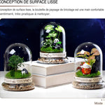 Terrarium Plante Dôme en Verre Borosilicate Fait Main - VIVARIUM PRO