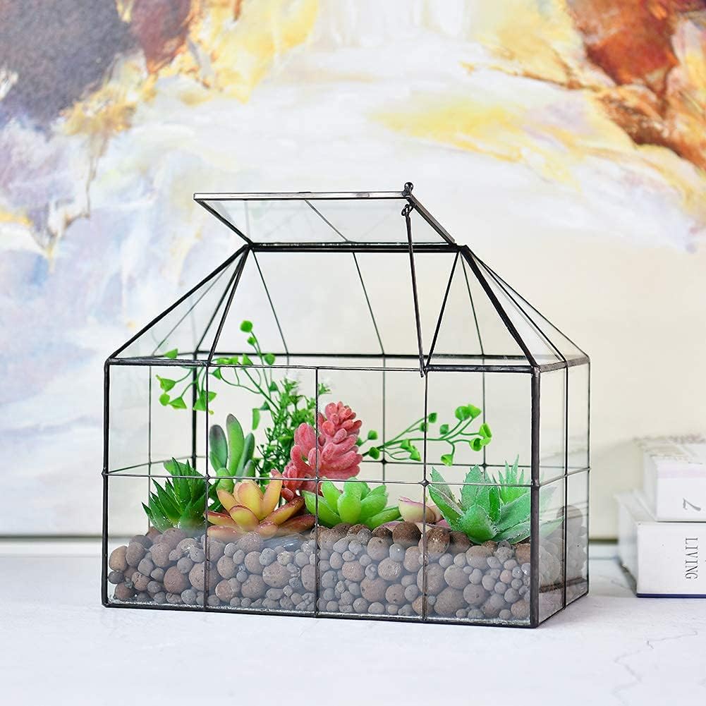 Terrarium Verre Maison – Serre Plantes Succulentes Laiton - VIVARIUM PRO