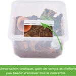 Petite Boîte d'Élevage Carrée Reptiles – Plastique ABS Transparent - VIVARIUM PRO
