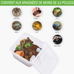 Petite Boîte d'Élevage Carrée Reptiles – Plastique ABS Transparent - VIVARIUM PRO
