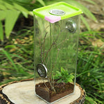 Boîte d'Élevage Reptiles Acrylique – Terrarium Ventilé - VIVARIUM PRO