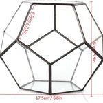 Terrarium Dodécaèdre Géométrique Noir – Plaques Pentagonales Verre - VIVARIUM PRO
