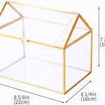 Terrarium Maison Géométrique Doré – Grande Serre Couvercle Basculant - VIVARIUM PRO