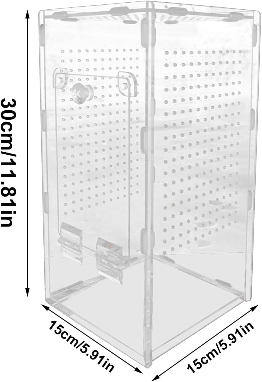 Terrarium Acrylique 360 Degrés