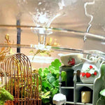 Terrarium Plante en Verre avec Couvercle Anti-Condensation - VIVARIUM PRO