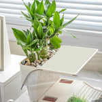 Terrarium Tortue avec Zone de Lézardage - VIVARIUM PRO