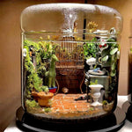 Terrarium Plante en Verre avec Couvercle Anti-Condensation - VIVARIUM PRO
