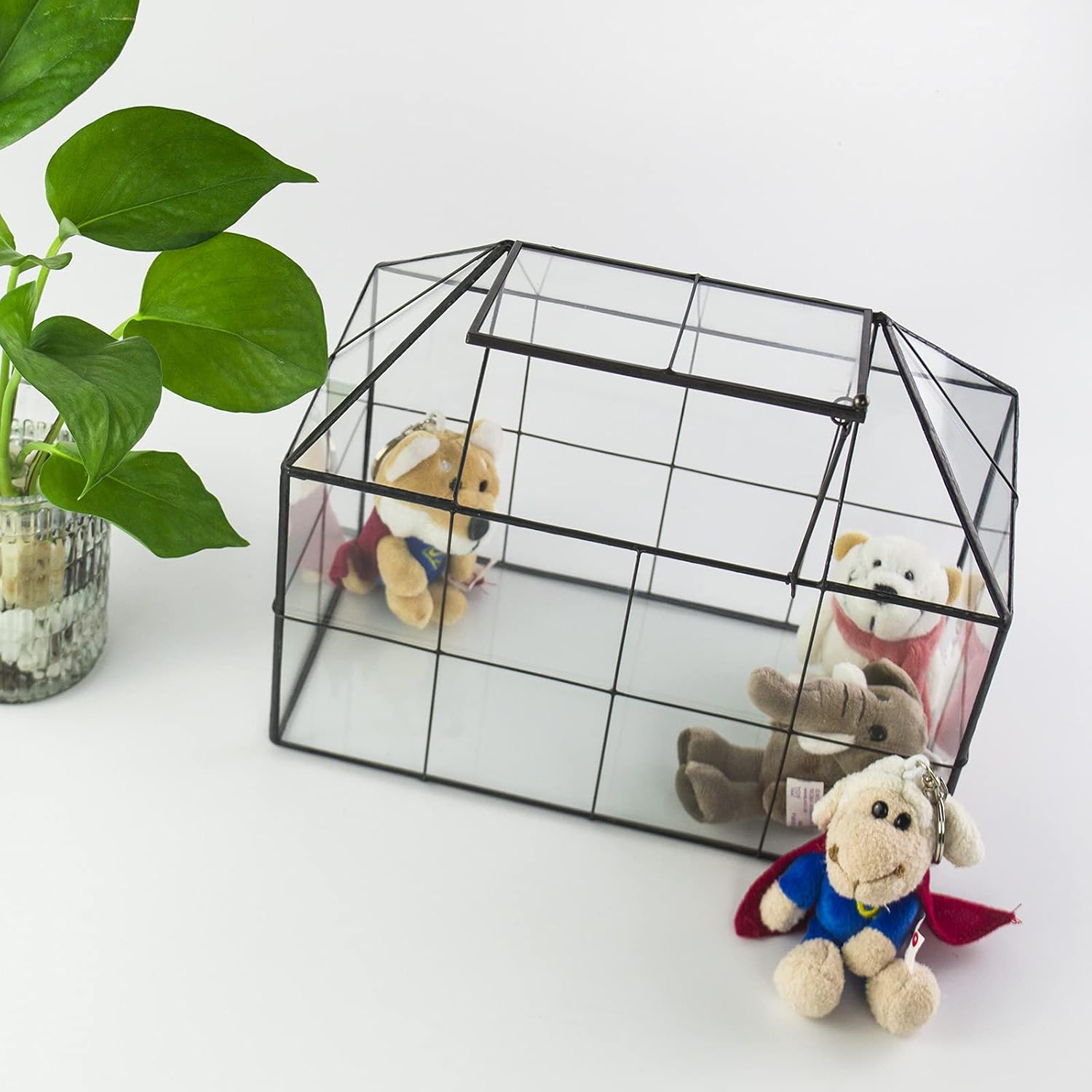 Terrarium Verre Maison – Serre Plantes Succulentes Laiton - VIVARIUM PRO
