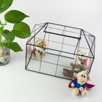 Terrarium Verre Maison – Serre Plantes Succulentes Laiton - VIVARIUM PRO