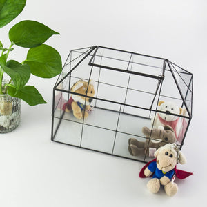 Terrarium Verre Maison – Serre Plantes Succulentes Laiton - VIVARIUM PRO