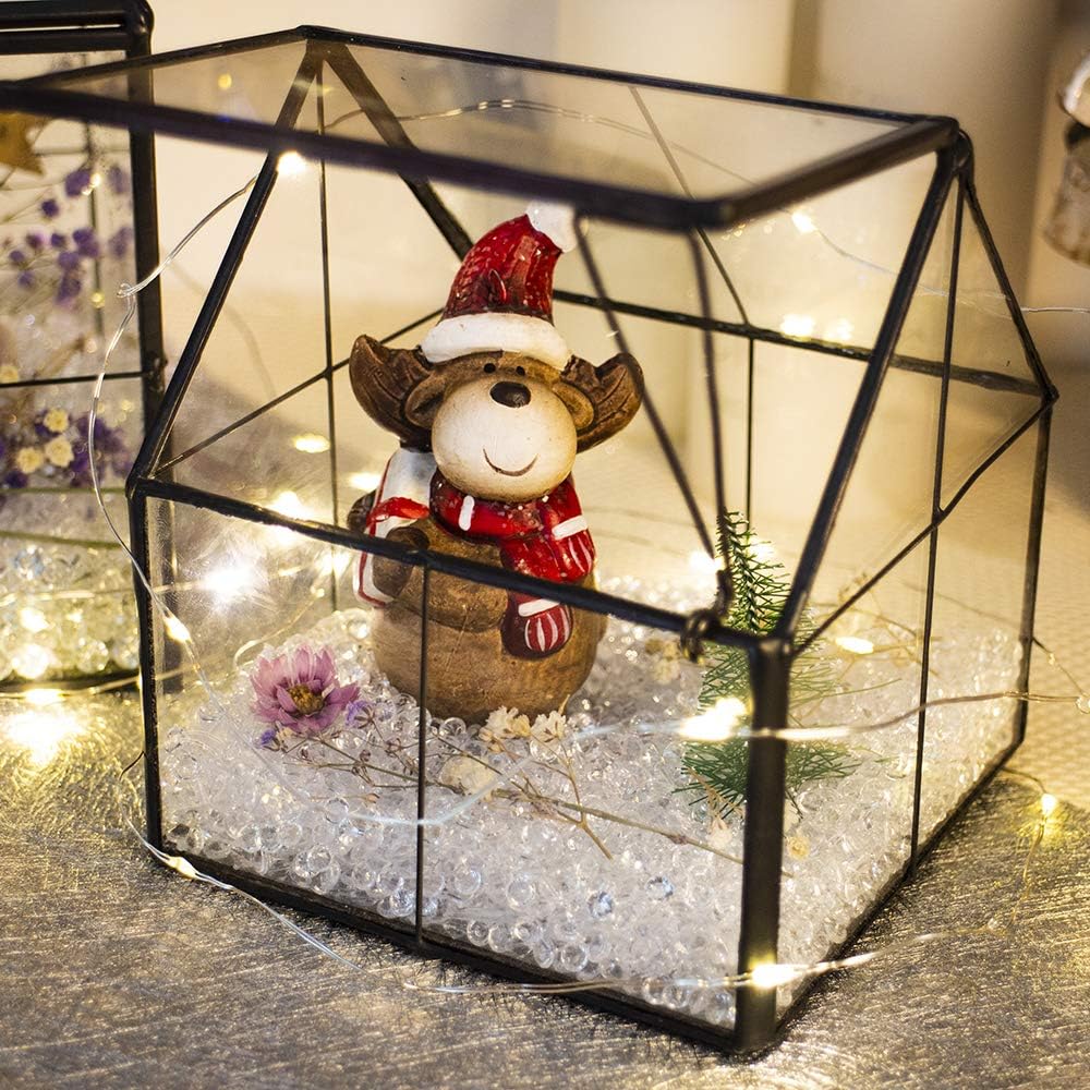 Terrarium Maison Verre Laiton Porte – Plantes Succulentes DIY - VIVARIUM PRO