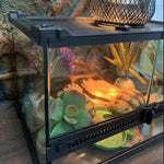 Terrarium Reptiles Verre Trempé avec Double Porte Sécurisée - VIVARIUM PRO