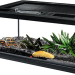 Mini Terrarium Verre – Boîte Élevage Reptiles Verrou Magnétique - VIVARIUM PRO
