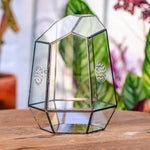 Terrarium Fermé Géométrique Porte – Insectes Cactus Verre - VIVARIUM PRO