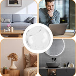 Vase Boules de Verre Borosilicate – Terrarium Moderne Bouche Ouverte - VIVARIUM PRO