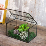 Terrarium Maison Géométrique Noir – Couvercle Basculant Grande Serre - VIVARIUM PRO