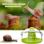 Maison d'Élevage pour Escargots et Reptiles – Boîte d'Alimentation ABS/PC Transparent avec Poignée - VIVARIUM PRO