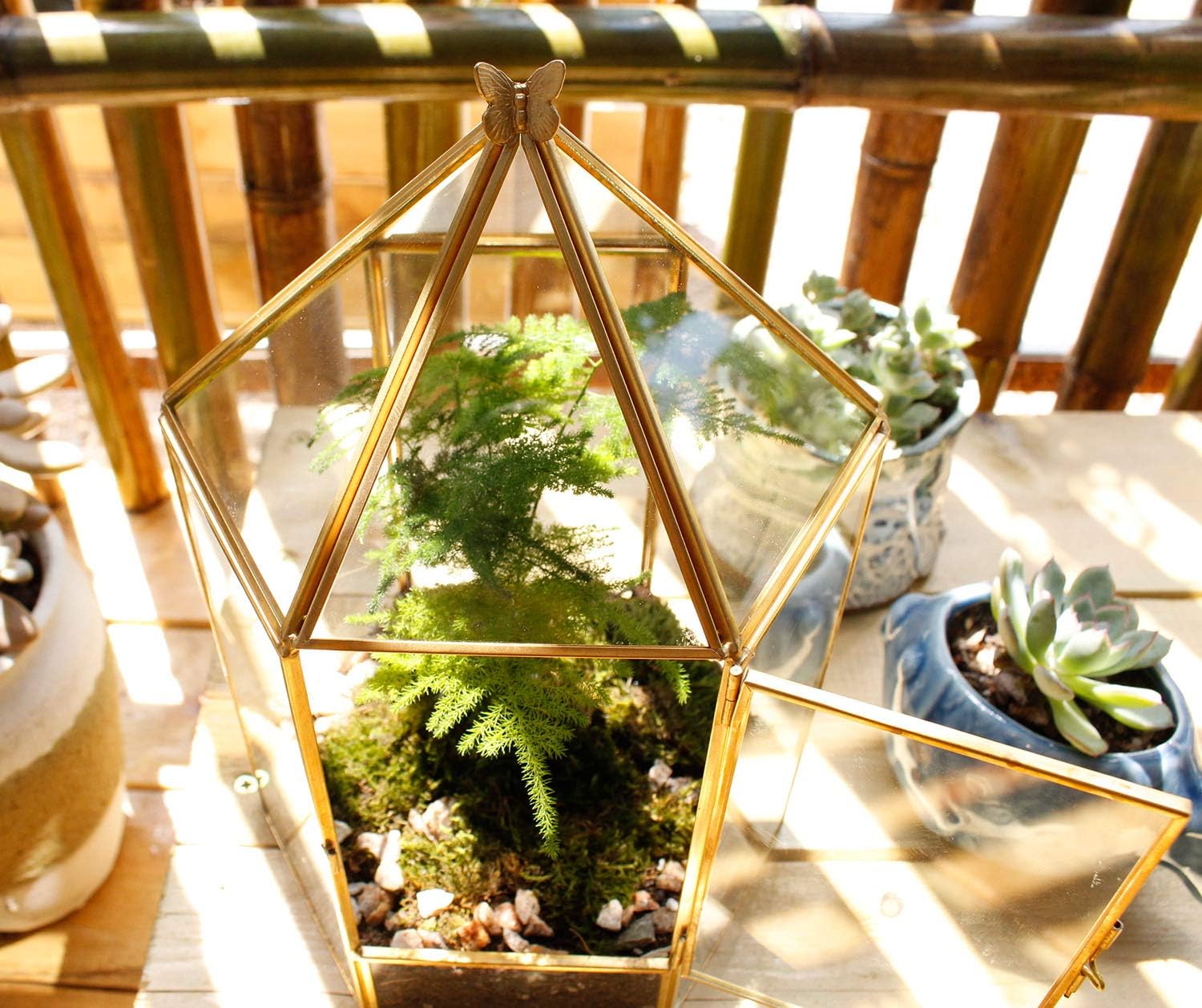 Terrarium Hexagonal Doré Charnière – Grande Serre Géométrique - VIVARIUM PRO
