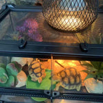 Terrarium Reptiles Verre Trempé avec Double Porte Sécurisée - VIVARIUM PRO
