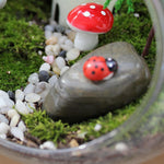 Vase Boules de Verre Borosilicate – Terrarium Moderne Bouche Ouverte - VIVARIUM PRO