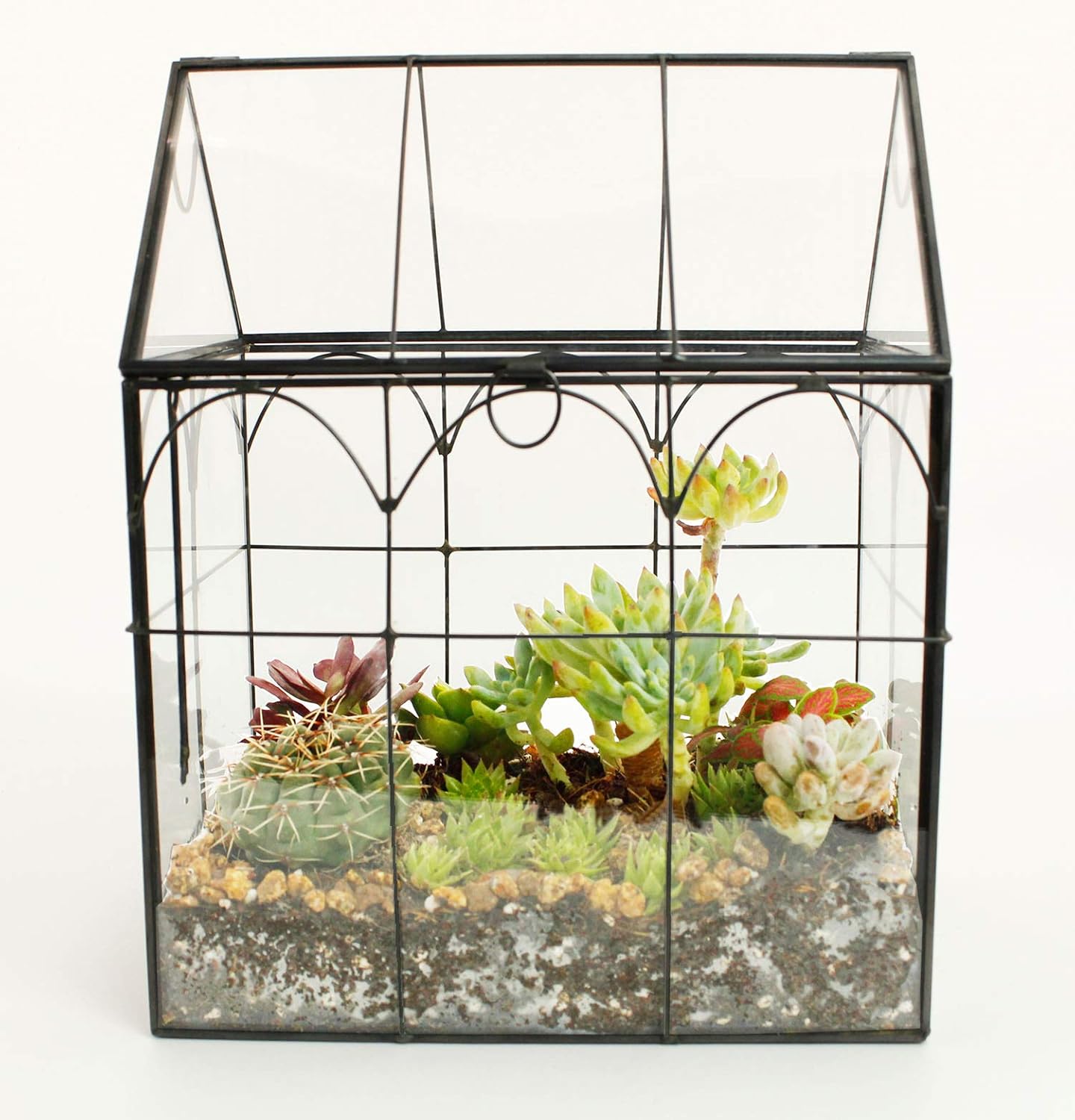 Terrarium Maison Fait Main Couvercle Pivotant – Grande Serre - VIVARIUM PRO