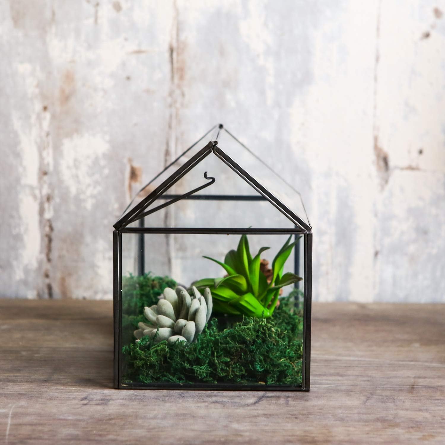 Terrarium Maison Géométrique Noir – Couvercle Basculant Grande Serre - VIVARIUM PRO