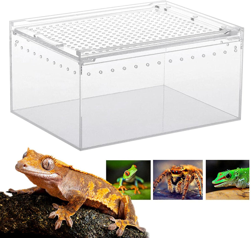 Boîte d'Élevage Reptiles Acrylique – Terrarium Transparent Multifonction - VIVARIUM PRO