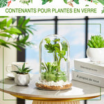 Terrarium Plante Cloche en Verre avec  Base - VIVARIUM PRO