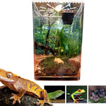 Terrarium Acrylique Ultra-Transparent pour Reptiles et Invertébrés - VIVARIUM PRO