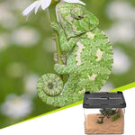 Terrarium d'Alimentation Reptiles – Double Porte Magnétique - VIVARIUM PRO