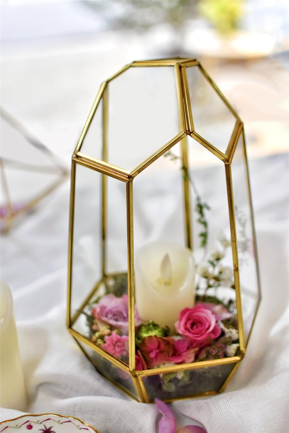 Terrarium Géométrique Doré – Fait Main Plantes Grasses - VIVARIUM PRO