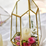 Terrarium Géométrique Doré – Fait Main Plantes Grasses - VIVARIUM PRO