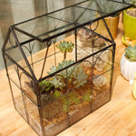 Terrarium Maison Fait Main Couvercle Pivotant – Grande Serre - VIVARIUM PRO