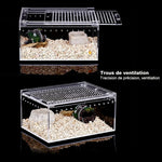Boîte d'Élevage Reptiles Acrylique – Terrarium Transparent Multifonction - VIVARIUM PRO