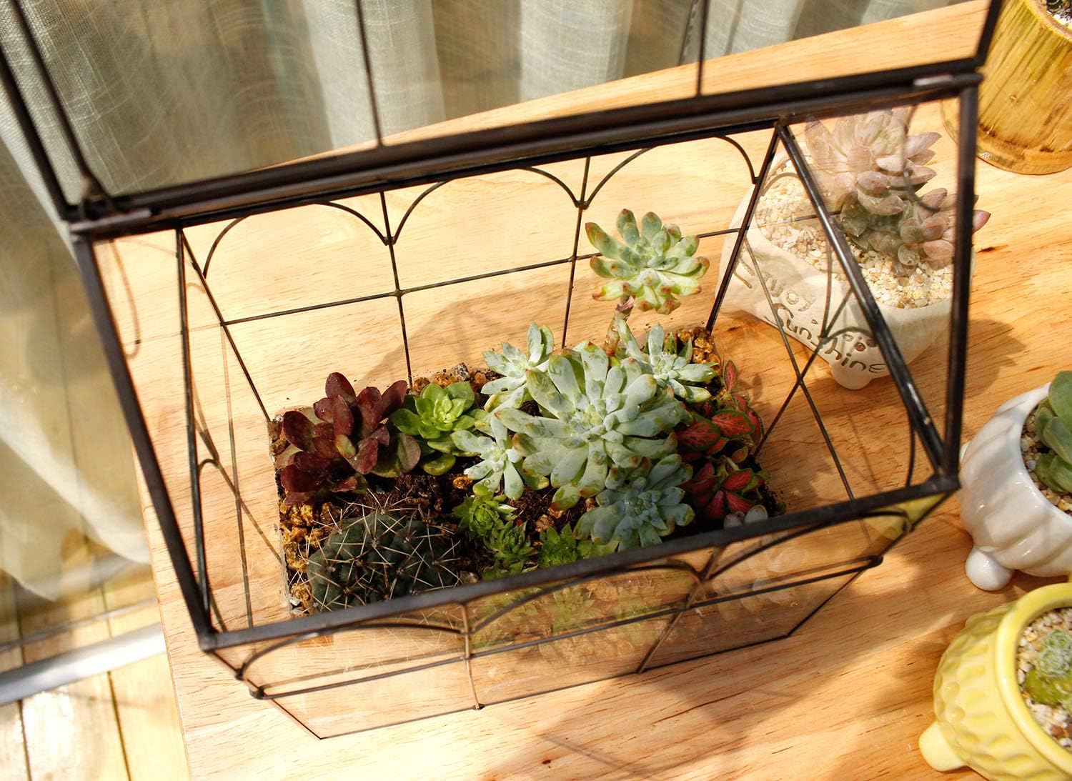 Terrarium Maison Fait Main Couvercle Pivotant – Grande Serre - VIVARIUM PRO