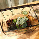 Terrarium Maison Fait Main Couvercle Pivotant – Grande Serre - VIVARIUM PRO