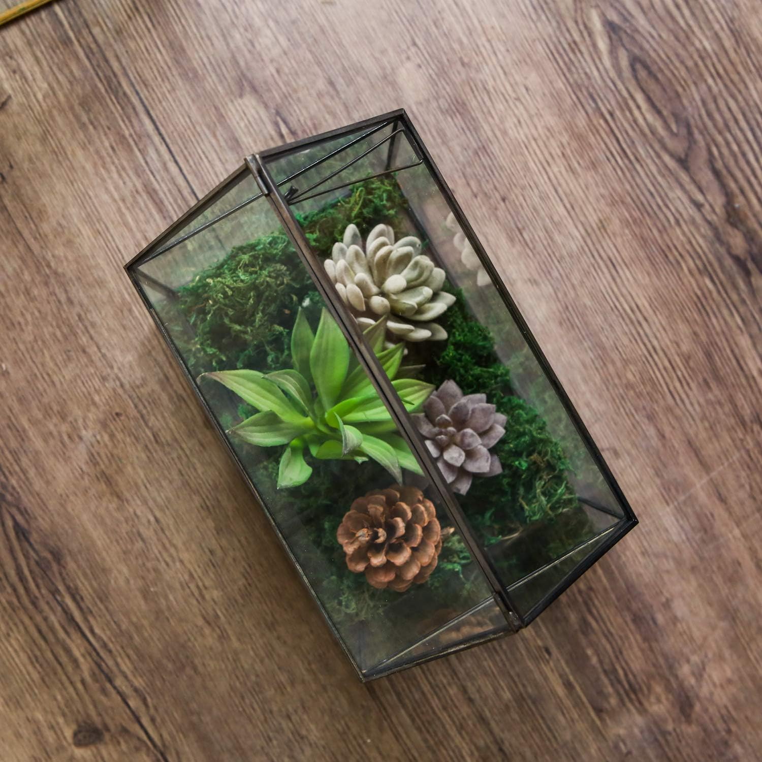 Terrarium Maison Géométrique Noir – Couvercle Basculant Grande Serre - VIVARIUM PRO