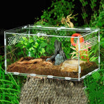 Terrarium Acrylique Transparent pour Reptiles - VIVARIUM PRO