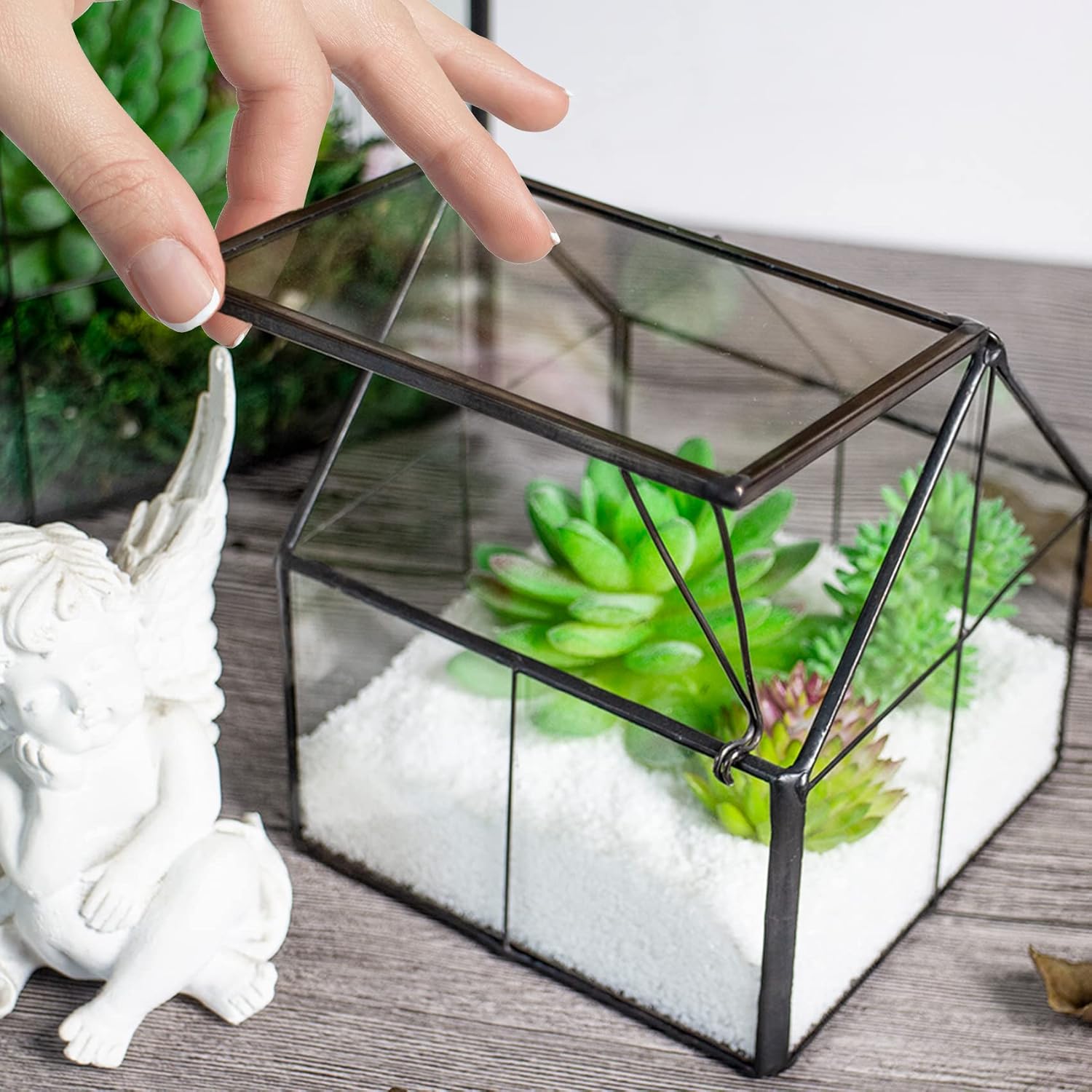 Terrarium Maison Verre Laiton Porte – Plantes Succulentes DIY - VIVARIUM PRO