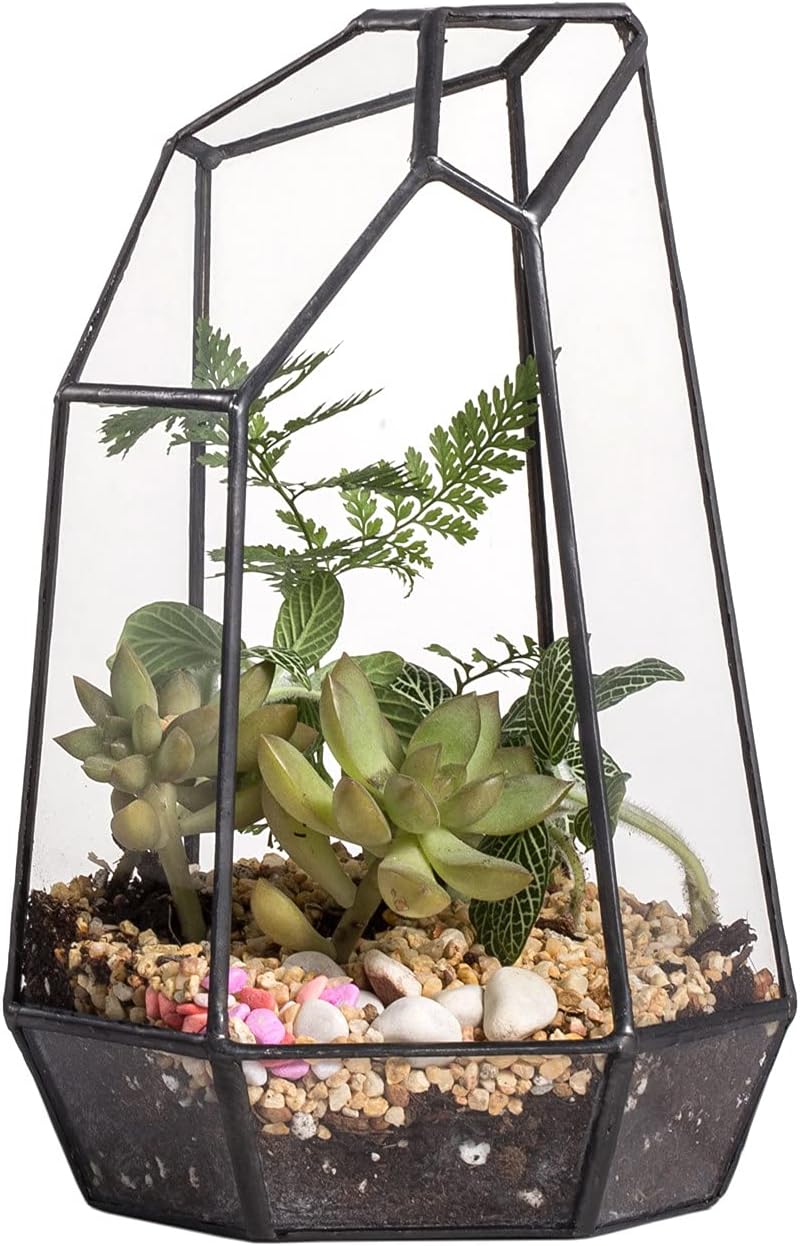 Terrarium Cube Verre Cuivre – Plantes Grasses Moderne - VIVARIUM PRO