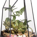 Terrarium Cube Verre Cuivre – Plantes Grasses Moderne - VIVARIUM PRO