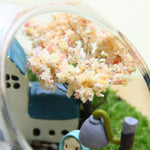 Vase Boules de Verre Borosilicate – Terrarium Moderne Bouche Ouverte - VIVARIUM PRO