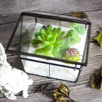 Terrarium Maison Verre Laiton Porte – Plantes Succulentes DIY - VIVARIUM PRO