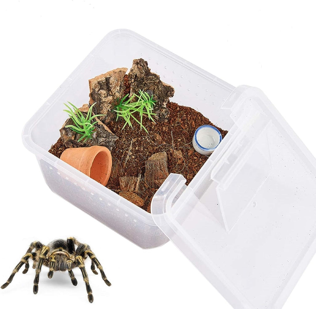 Petite Boîte d'Élevage Carrée Reptiles – Plastique ABS Transparent - VIVARIUM PRO