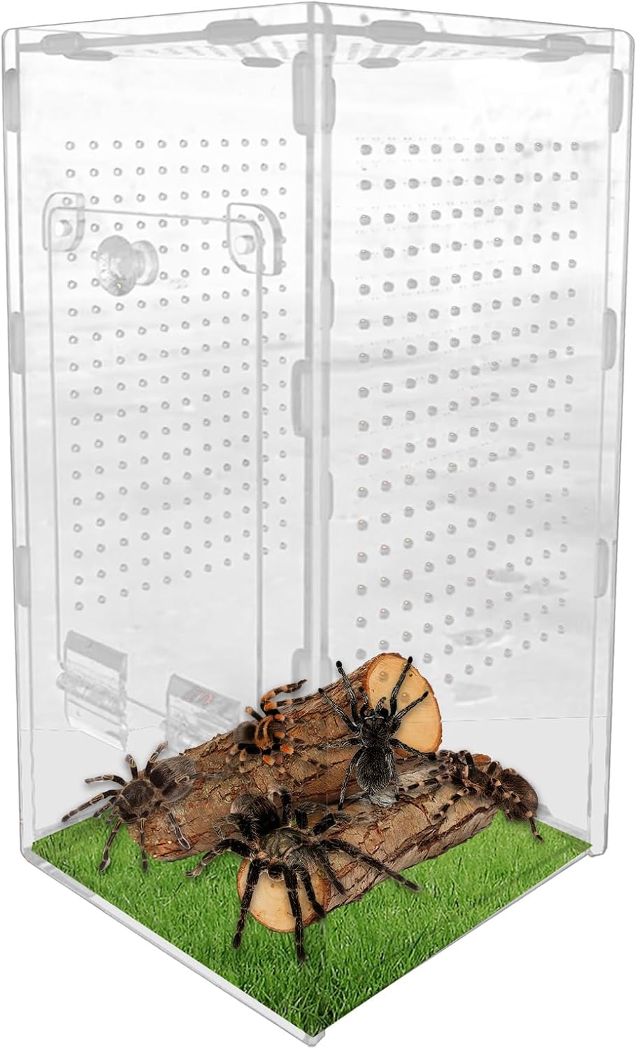 Terrarium Acrylique 360 Degrés