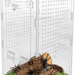 Terrarium Acrylique 360 Degrés