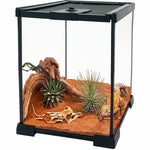 Mini Terrarium Verre – Boîte Élevage Reptiles Verrou Magnétique - VIVARIUM PRO