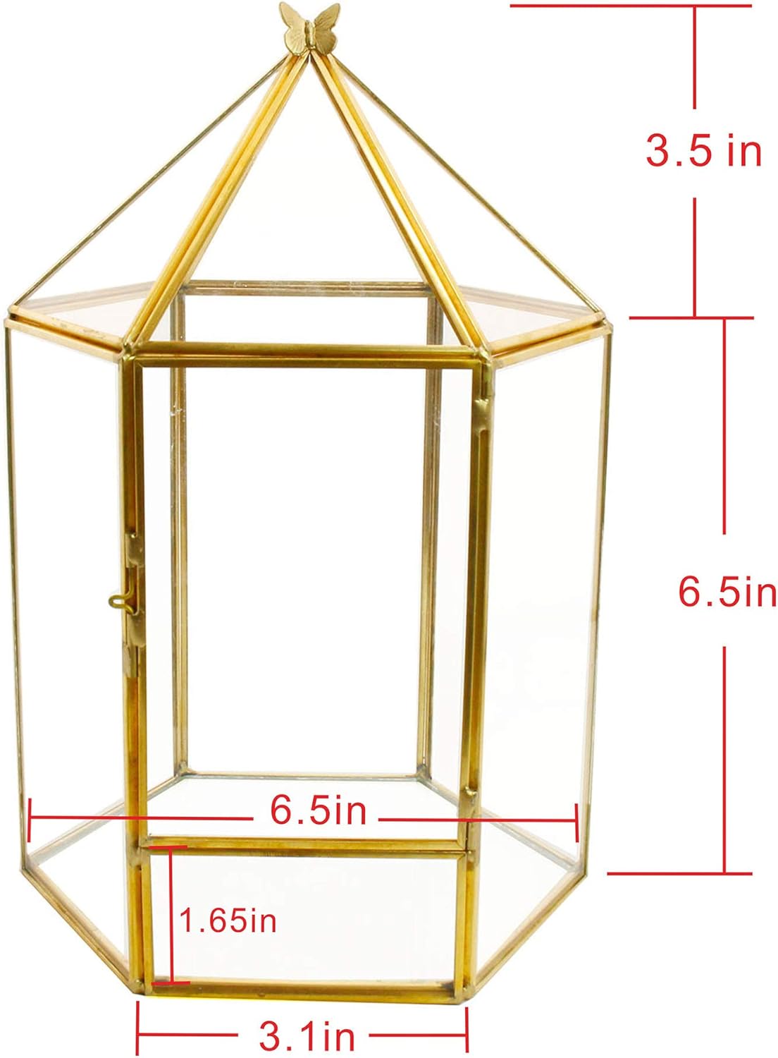 Terrarium Hexagonal Doré Charnière – Grande Serre Géométrique - VIVARIUM PRO
