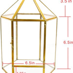 Terrarium Hexagonal Doré Charnière – Grande Serre Géométrique - VIVARIUM PRO