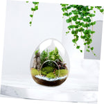 Terrarium Plante Verre Borosilicate Transparent - VIVARIUM PRO